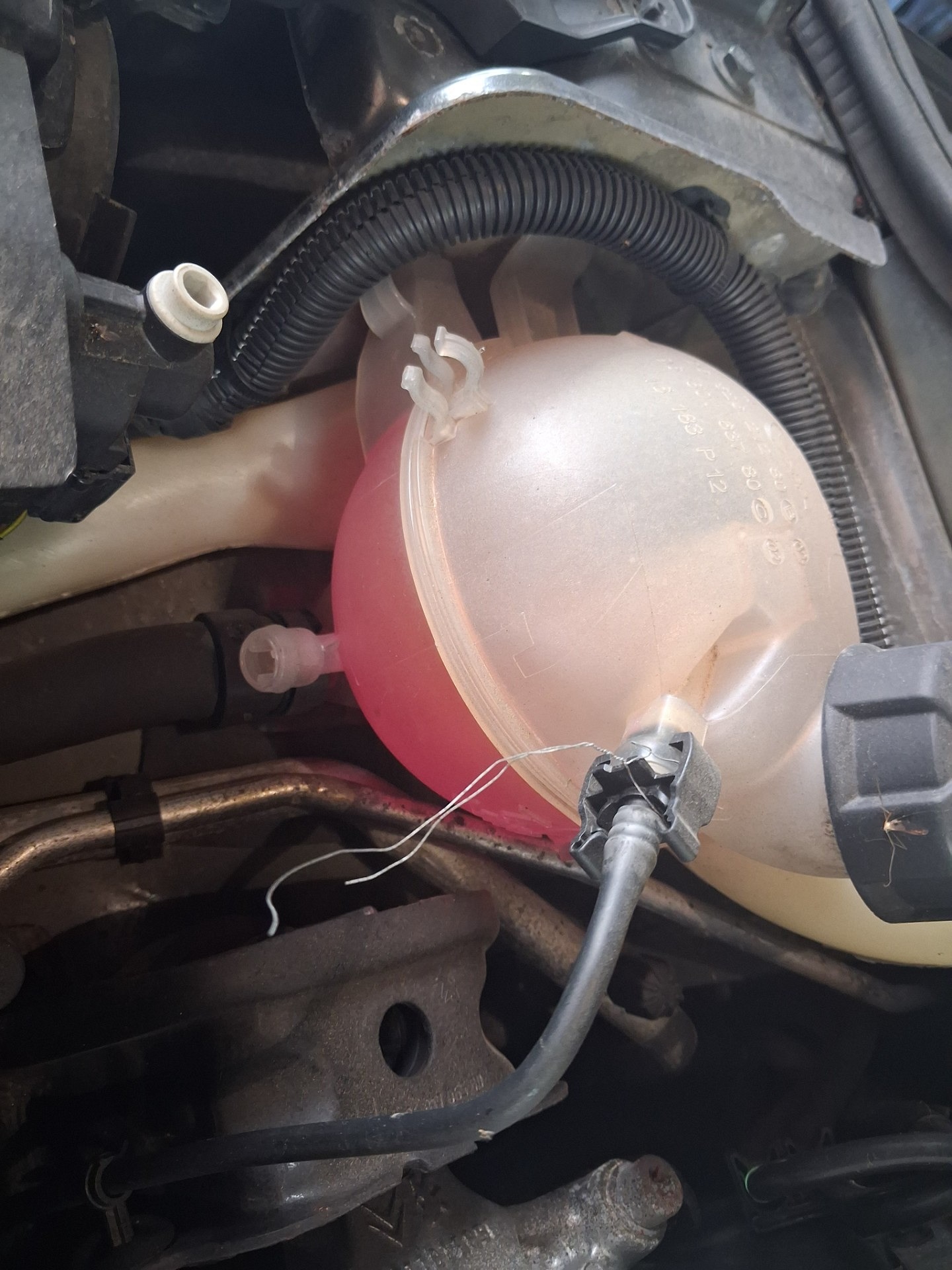 Poziom płynu chłodniczego - CITROËN C-ELYSEE