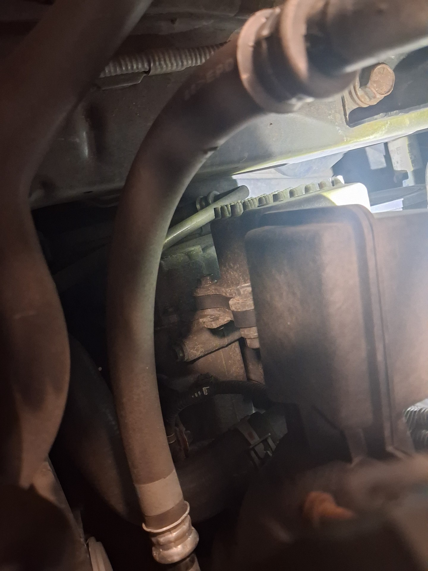 Ocena układu klinowego - TOYOTA COROLLA Kombi