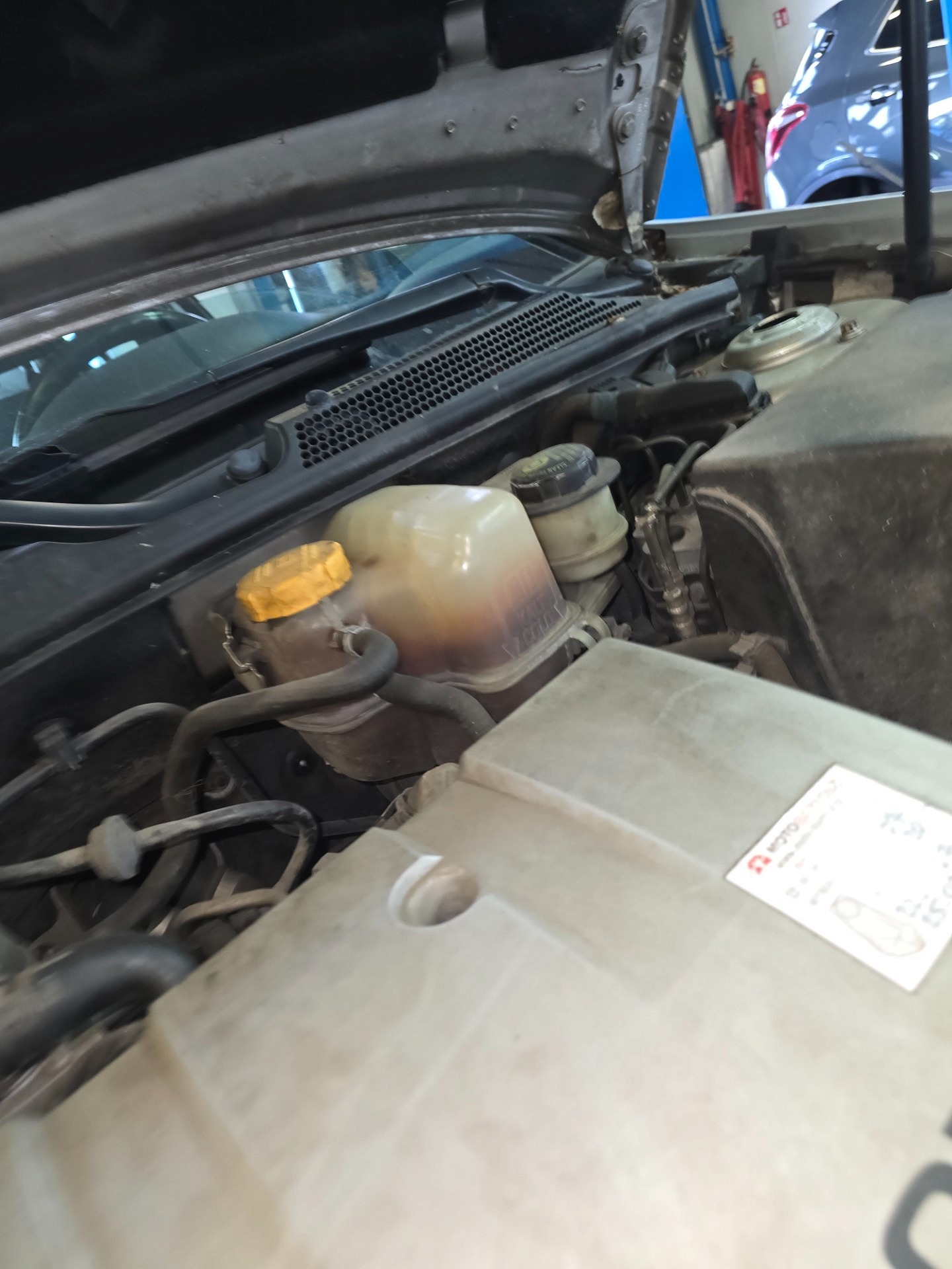 Poziom płynu chłodniczego - OPEL VECTRA C