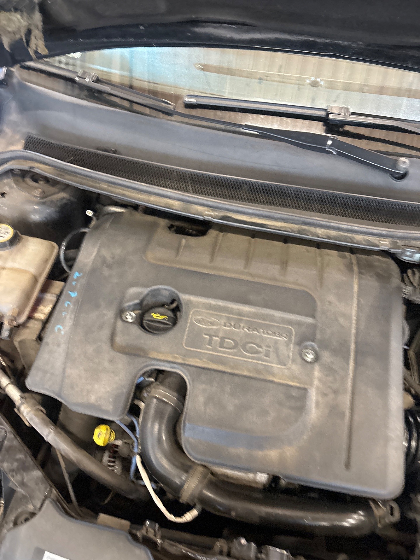 Poziom oleju silnikowego - FORD FOCUS II Turnier