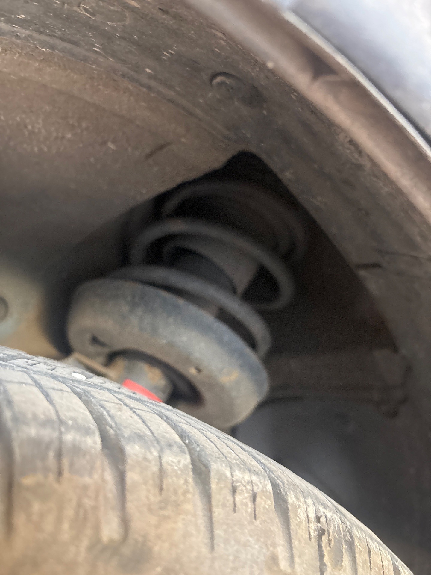 Sprężyny: przednia oś - OPEL ASTRA G Kombi