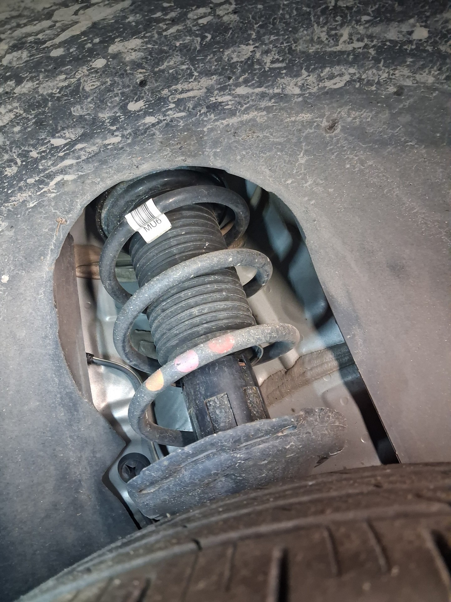 Sprężyny: przednia oś - VW TIGUAN