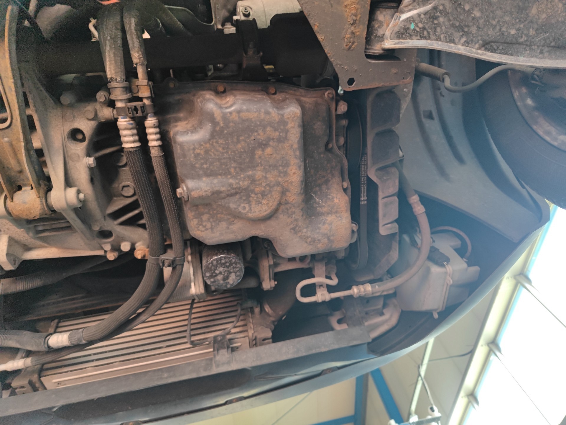 Silnik - FORD TRANSIT V363 Furgon