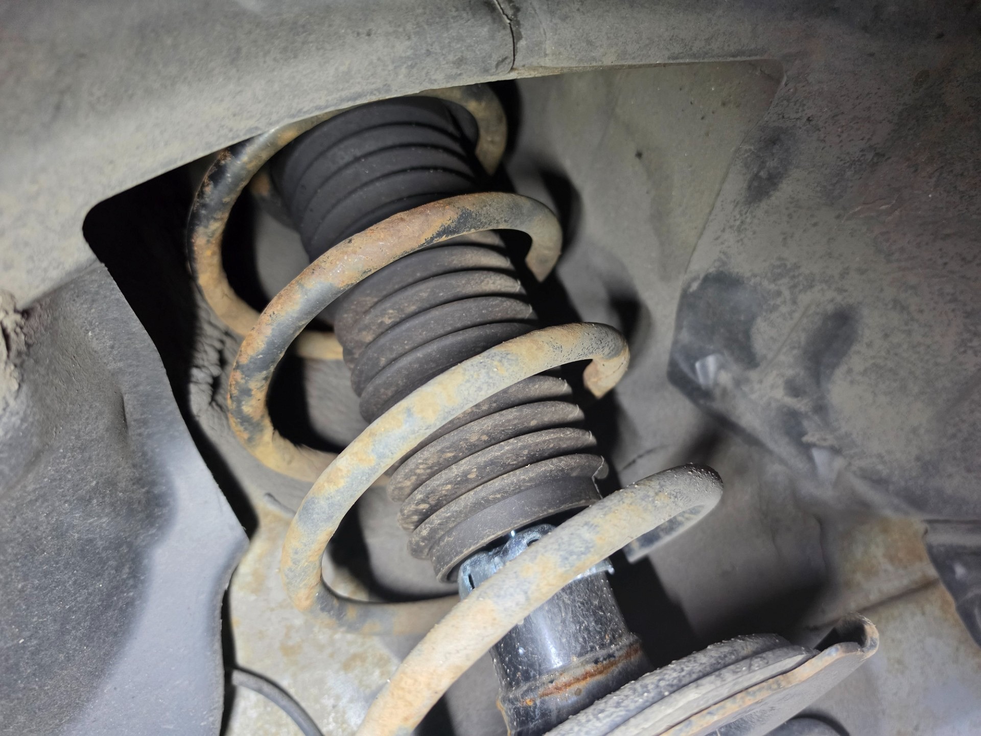 Sprężyny na przedniej osi - MAZDA 2