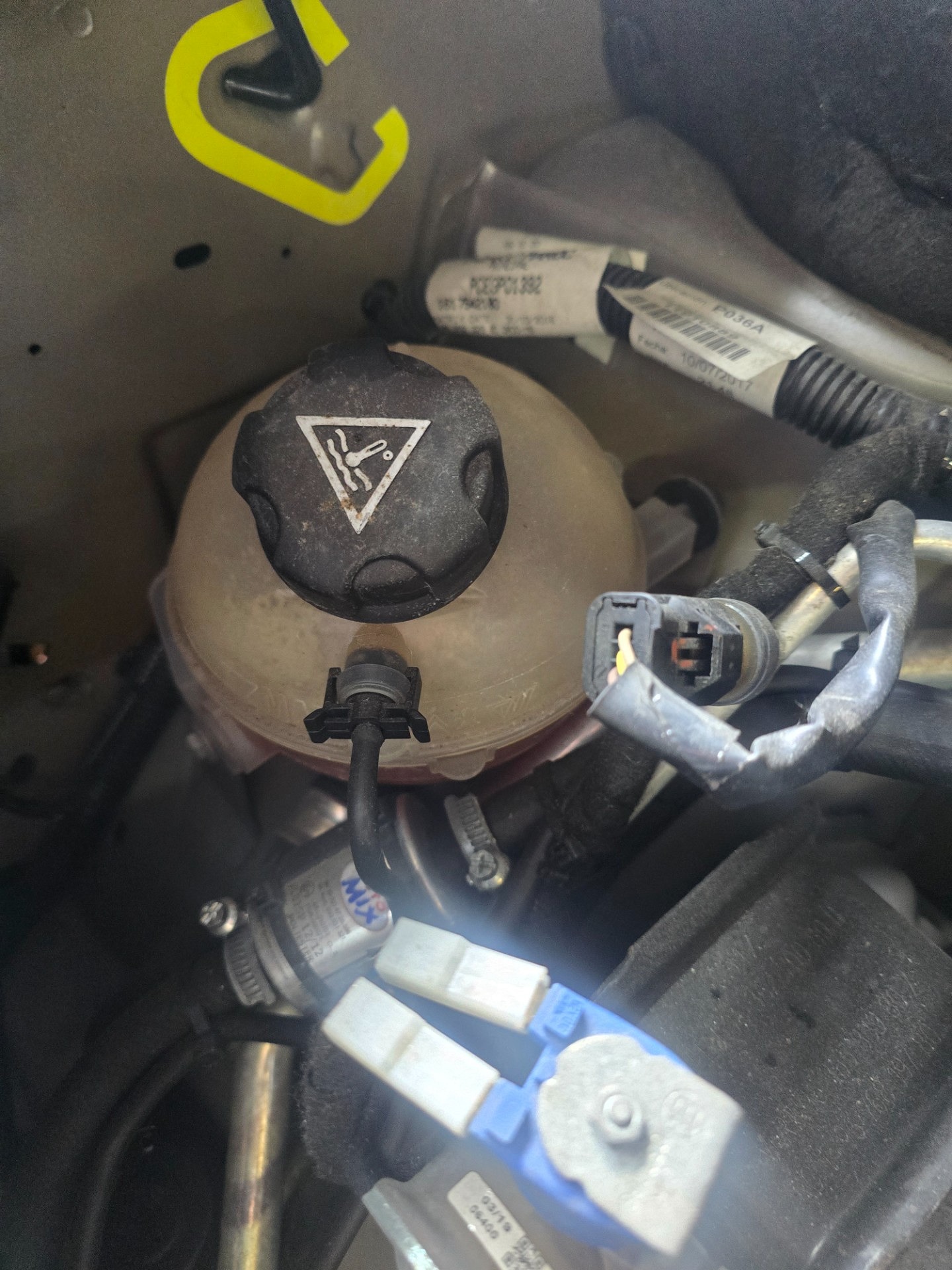 Poziom płynu chłodniczego - CITROËN BERLINGO MULTISPACE