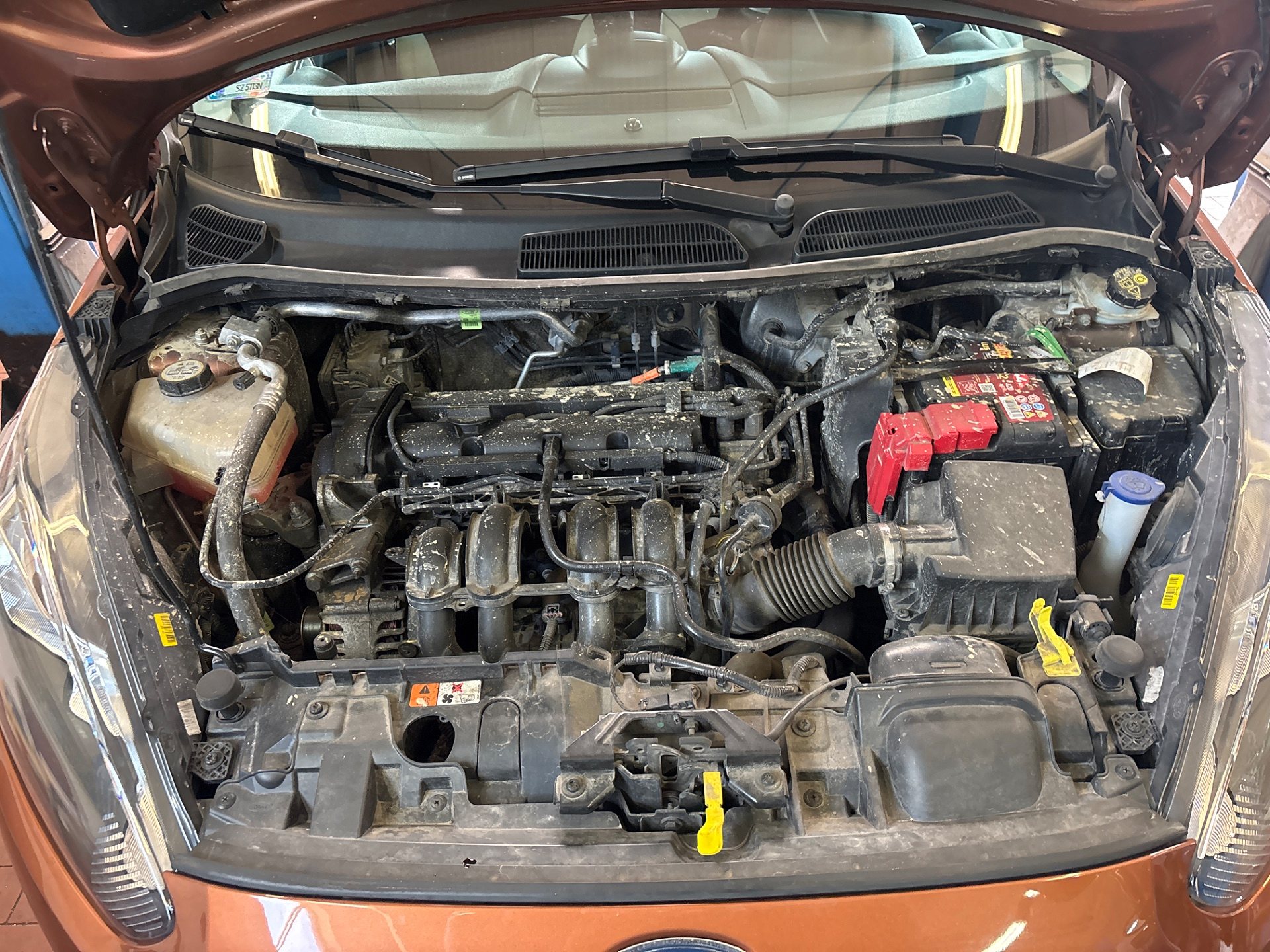 Informacja o wymianie rozrządu - FORD FIESTA VI