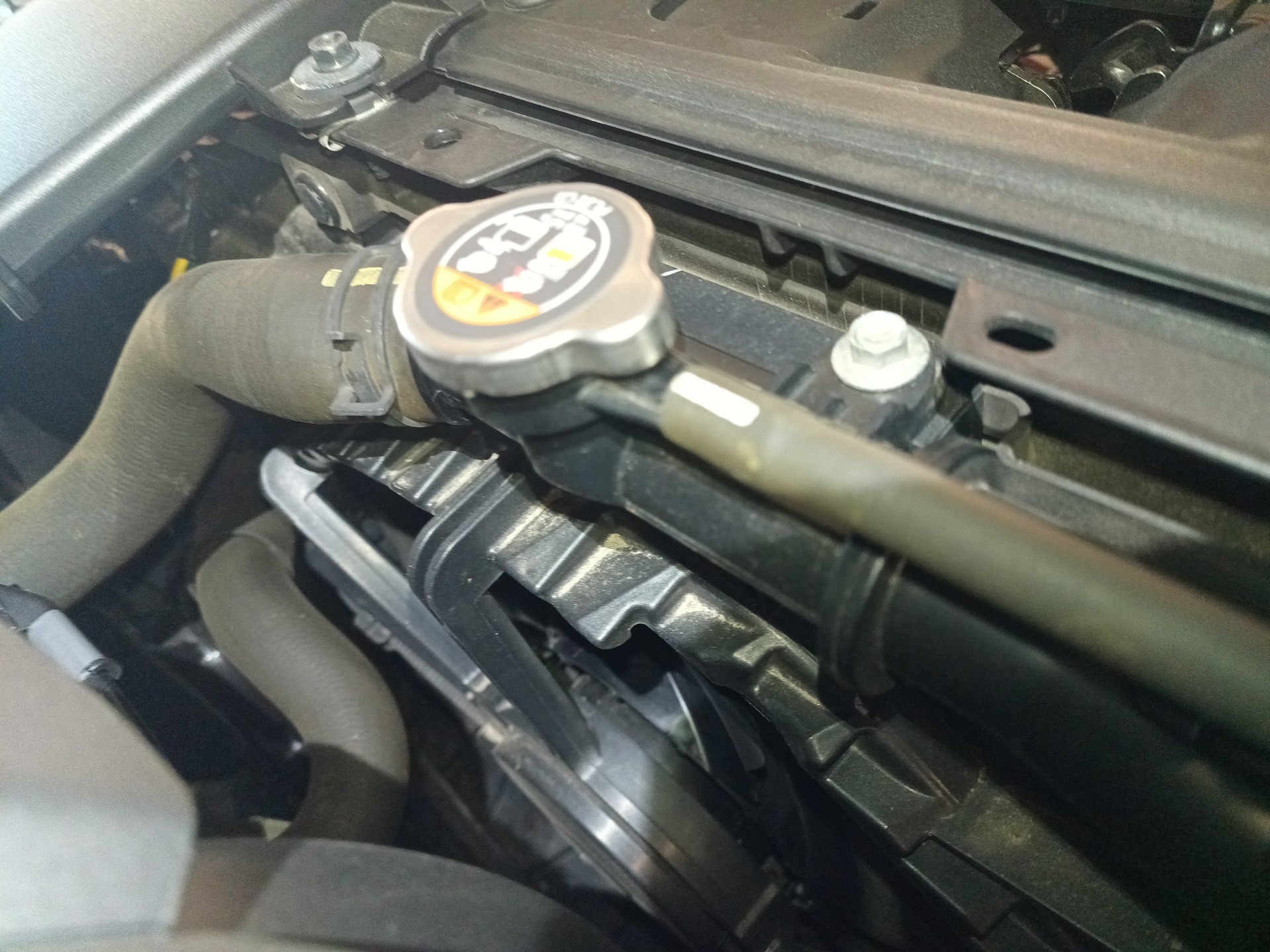 Poziom płynu chłodniczego - MAZDA 3 liftback