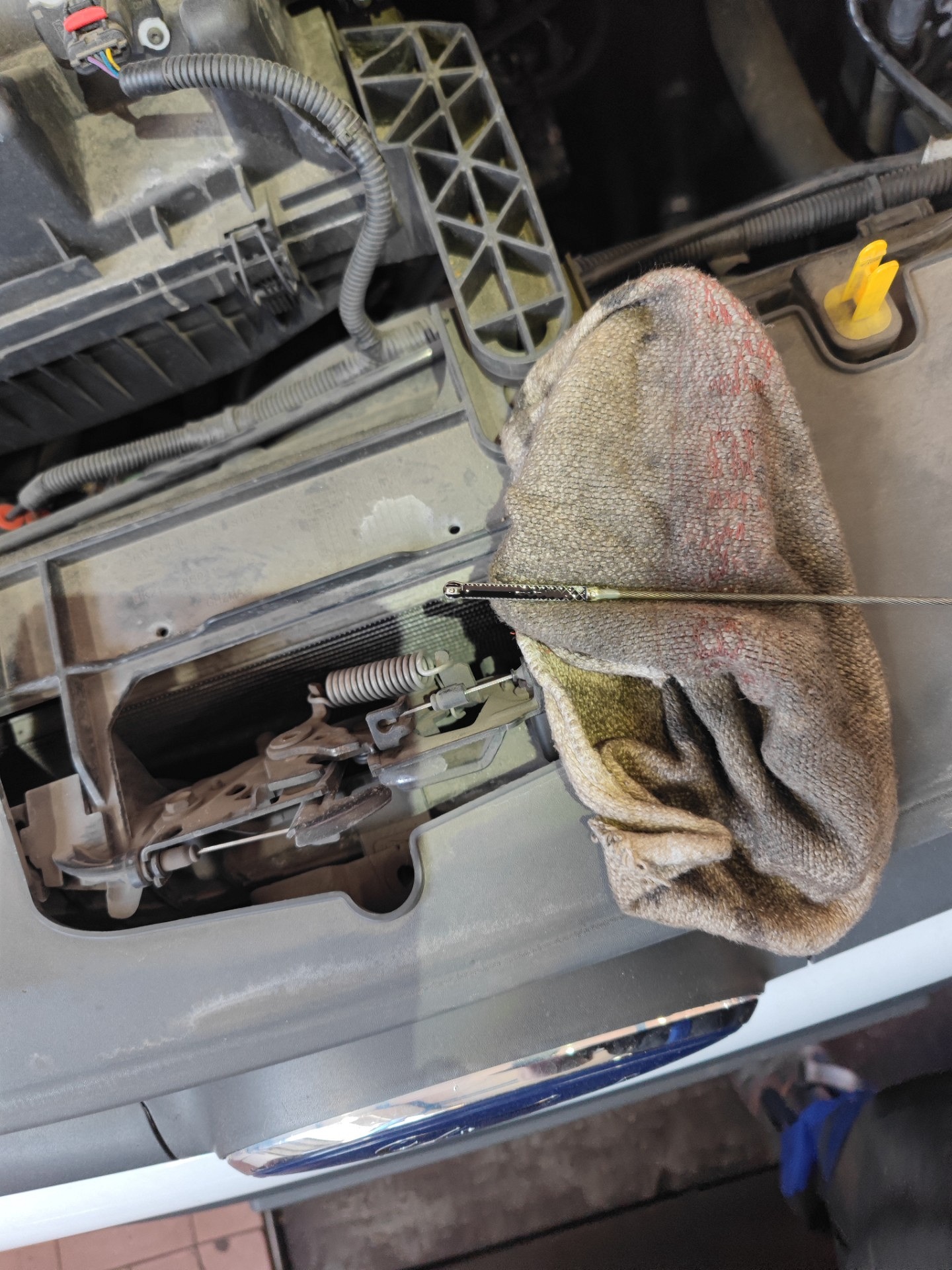 Poziom płynu chłodniczego - FORD TRANSIT V363 Furgon